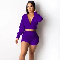 WomenCasual Cropped Top And Pants Two-pieces Velvet Set