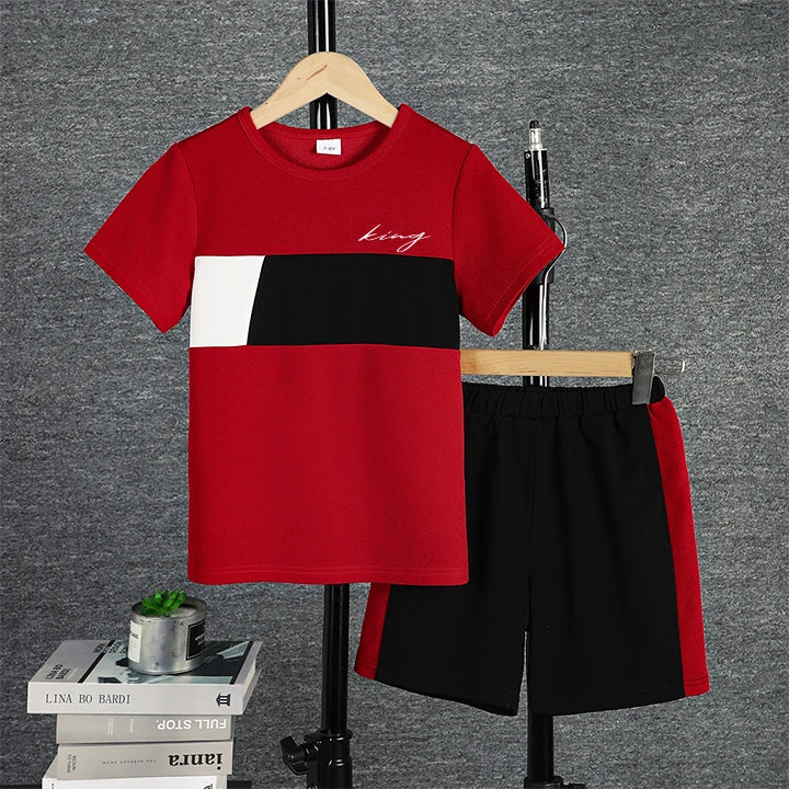 2pcs Boys Colorblock T-shirt & Shorts Set