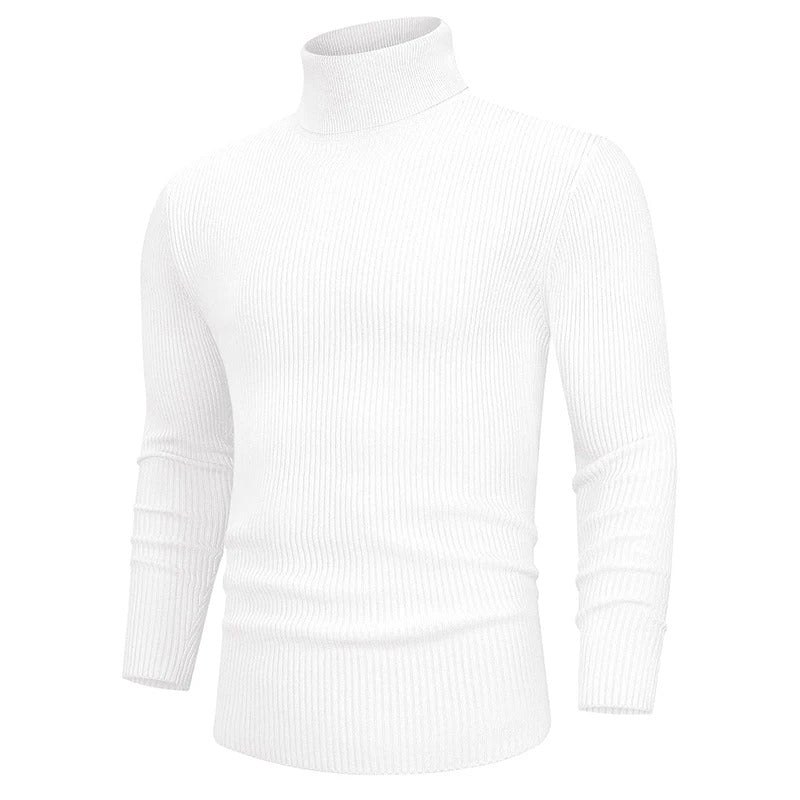 Men's Fall Turtleneck Sweater