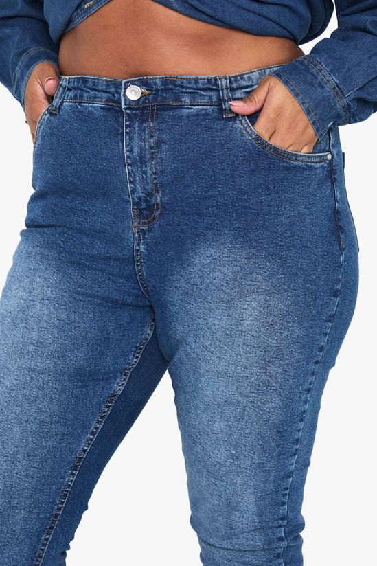 Plus Stretch Skinny Jeans