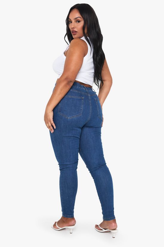 Plus Rip Knee Skinny Jegging