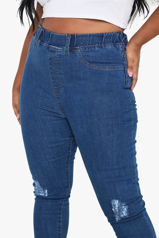 Plus Rip Knee Skinny Jegging