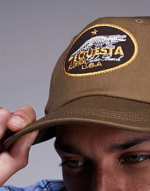 Asos Design Cap With Scorpion Embroidery In Mink
