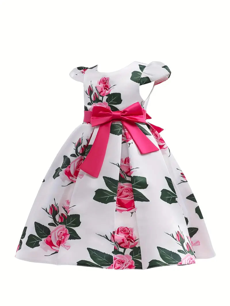 Elegant Girls Princess Dress