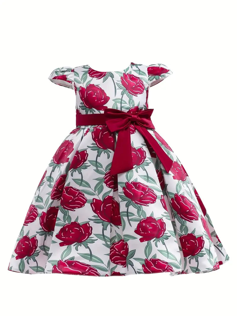 Elegant Girls Princess Dress