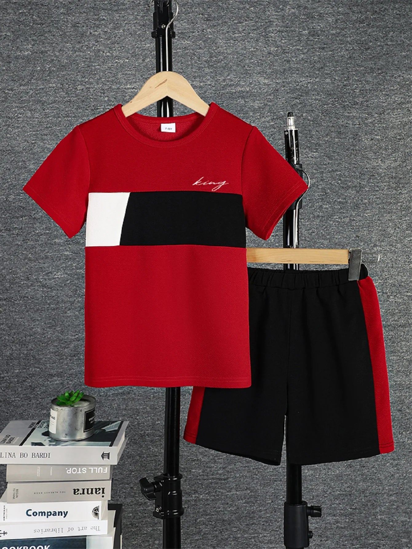 2pcs Boys Colorblock T-shirt & Shorts Set