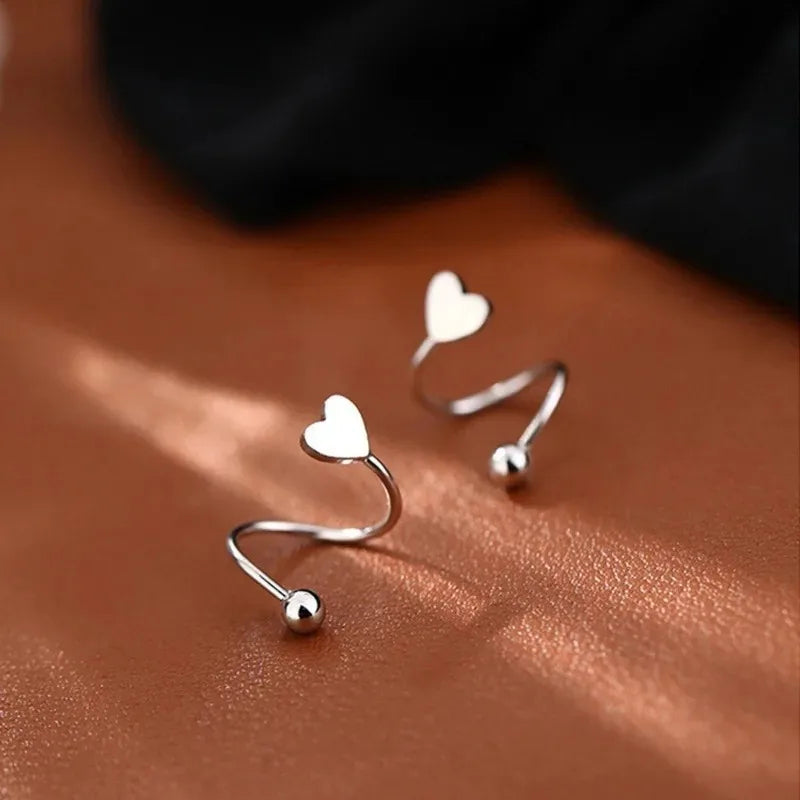 2PCS Stainless Steel Spiral Stud Earrings