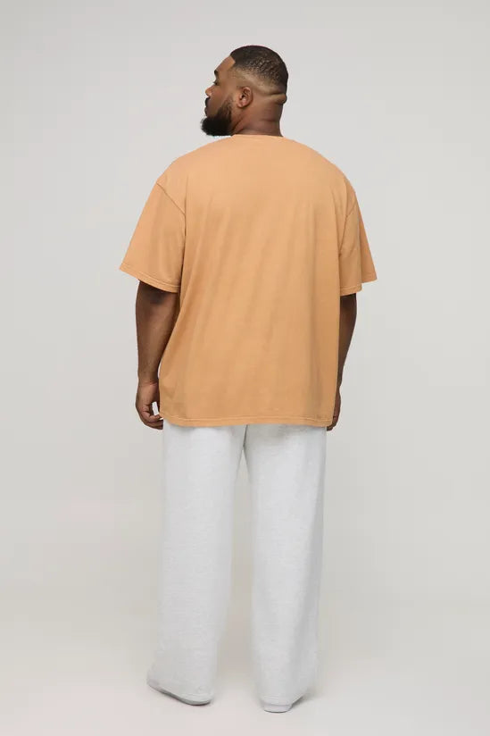 Plus Oversized Acid Wash T-Shirt