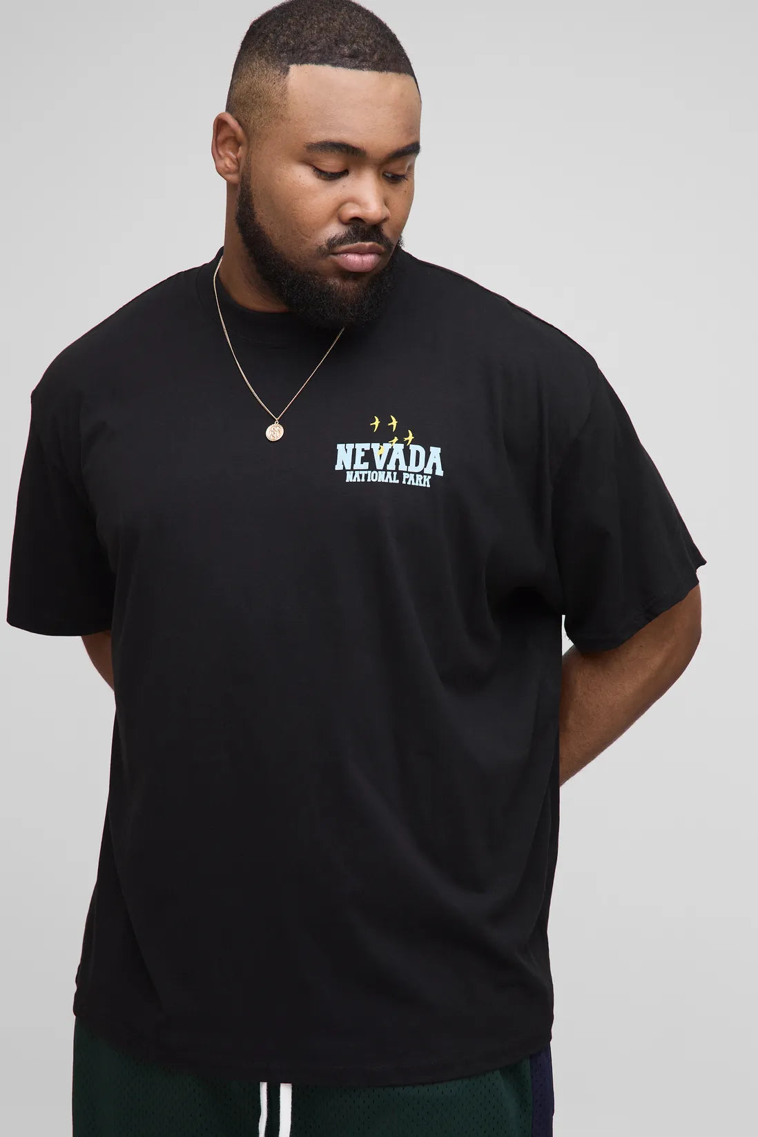 Plus Oversized National Park Print T-Shirt