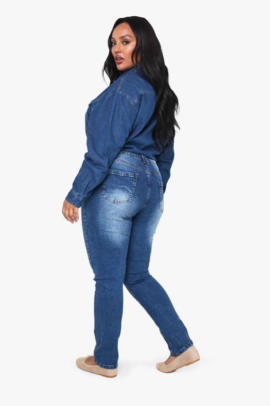 Plus Stretch Skinny Jeans