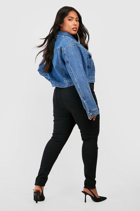 Plus Rip Knee Skinny Jegging